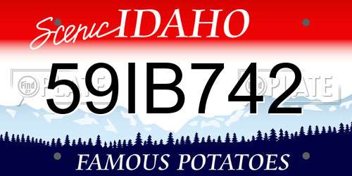 59IB742 Idaho License Plate