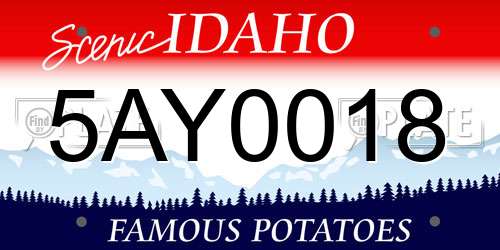 5AY0018 Idaho License Plate
