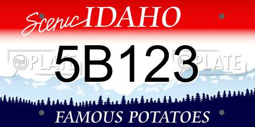 5B123 Idaho License Plate