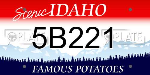 5B221 Idaho License Plate