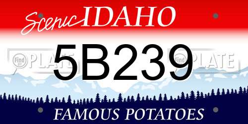 5B239 Idaho License Plate