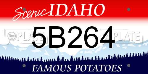 5B264 Idaho License Plate