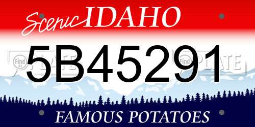 5B45291 Idaho License Plate