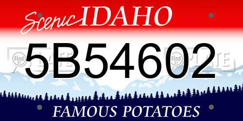 5B54602 Idaho License Plate