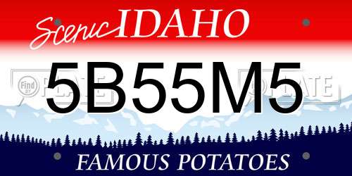 5B55M5 Idaho License Plate