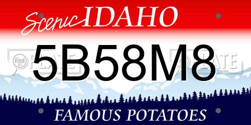 5B58M8 Idaho License Plate