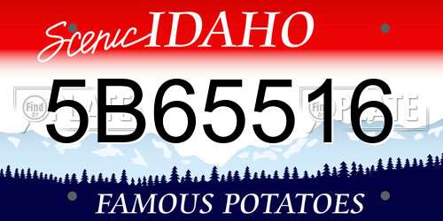 5B65516 Idaho License Plate