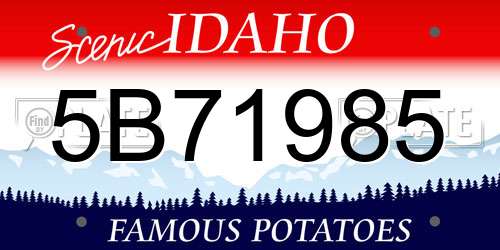 5B71985 Idaho License Plate