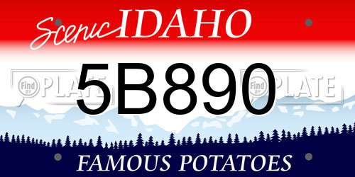 5B890 Idaho License Plate
