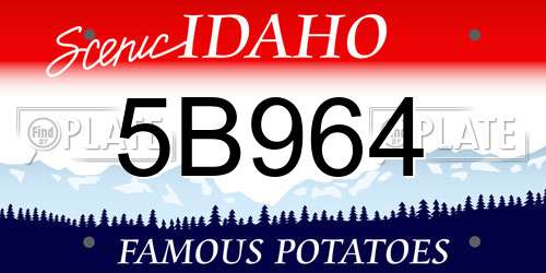 5B964 Idaho License Plate