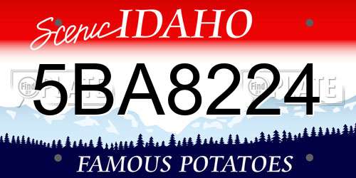 5BA8224 Idaho License Plate
