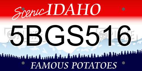 5BGS516 Idaho License Plate