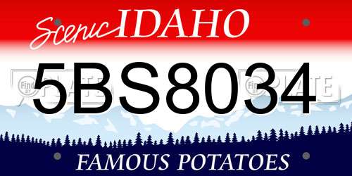 5BS8034 Idaho License Plate