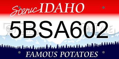 5BSA602 Idaho License Plate