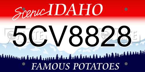 5CV8828 Idaho License Plate