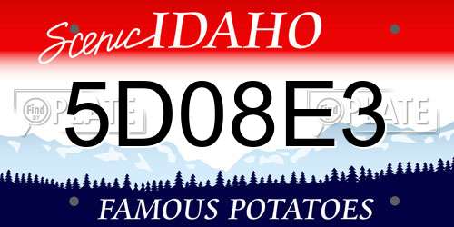 5D08E3 Idaho License Plate