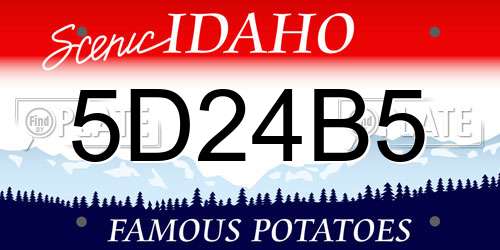 5D24B5 Idaho License Plate