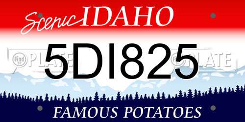 5DI825 Idaho License Plate