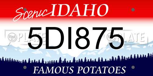5DI875 Idaho License Plate