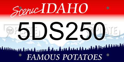5DS250 Idaho License Plate