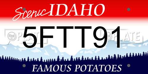 5FTT91 Idaho License Plate