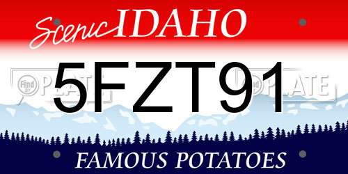 5FZT91 Idaho License Plate