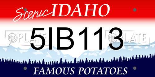 5IB113 Idaho License Plate