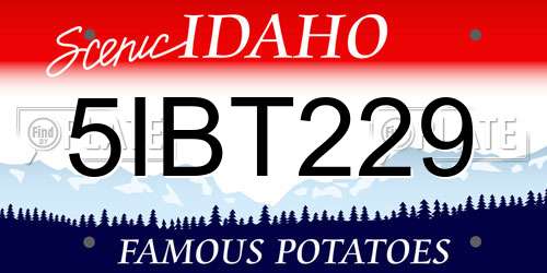 5IBT229 Idaho License Plate