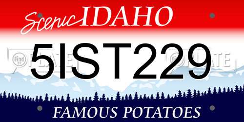 5IST229 Idaho License Plate
