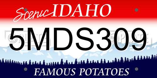 5MDS309 Idaho License Plate