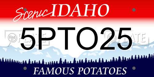5PTO25 Idaho License Plate