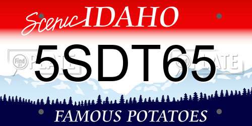 5SDT65 Idaho License Plate