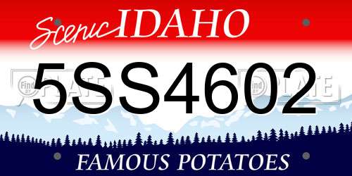 5SS4602 Idaho License Plate