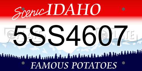 5SS4607 Idaho License Plate