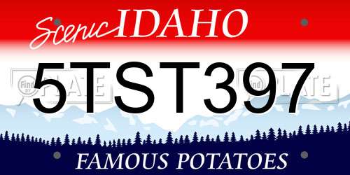 5TST397 Idaho License Plate