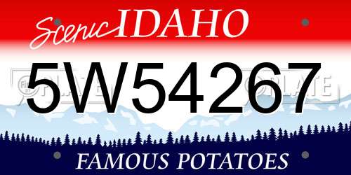 5W54267 Idaho License Plate