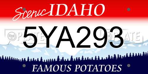 5YA293 Idaho License Plate
