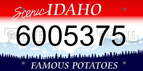 6005375 Idaho License Plate
