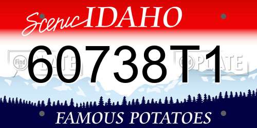 60738T1 Idaho License Plate
