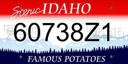 60738Z1 Idaho License Plate