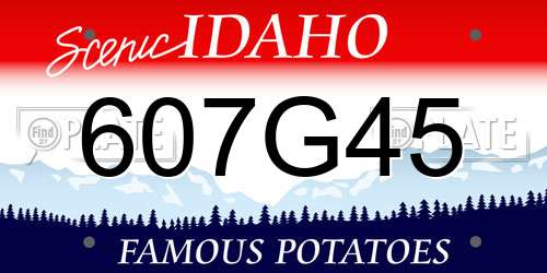 607G45 Idaho License Plate