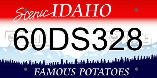 60DS328 Idaho License Plate