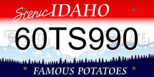 60TS990 Idaho License Plate