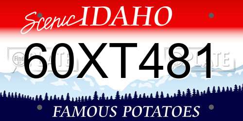 60XT481 Idaho License Plate