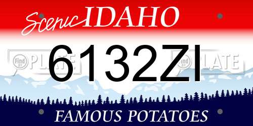 6132ZI Idaho License Plate