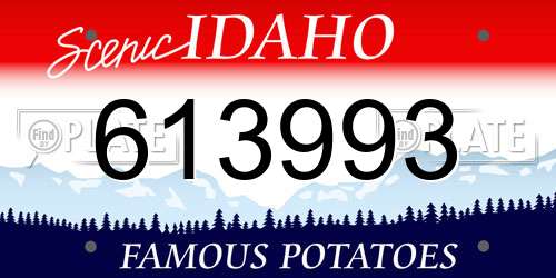 613993 Idaho License Plate