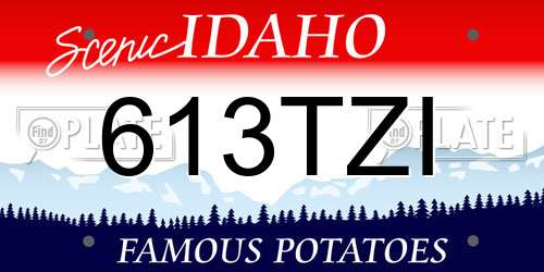 613TZI Idaho License Plate