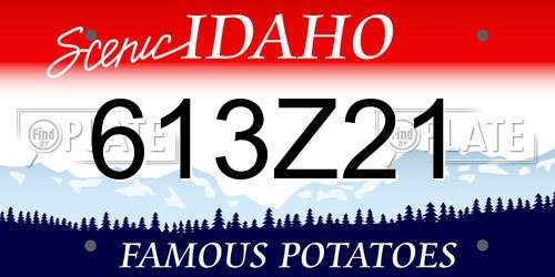 613Z21 Idaho License Plate