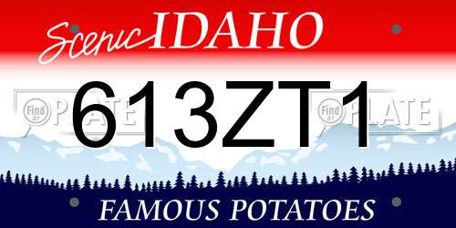 613ZT1 Idaho License Plate