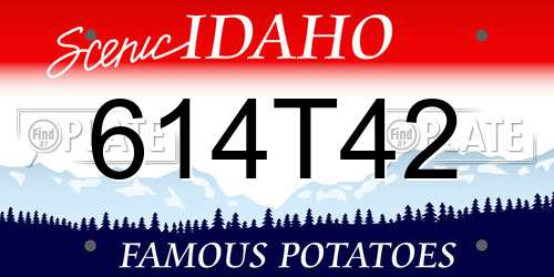 614T42 Idaho License Plate